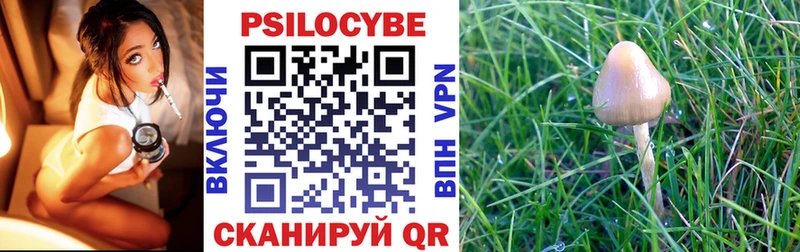 Галлюциногенные грибы мицелий  как найти закладки  Мезень 